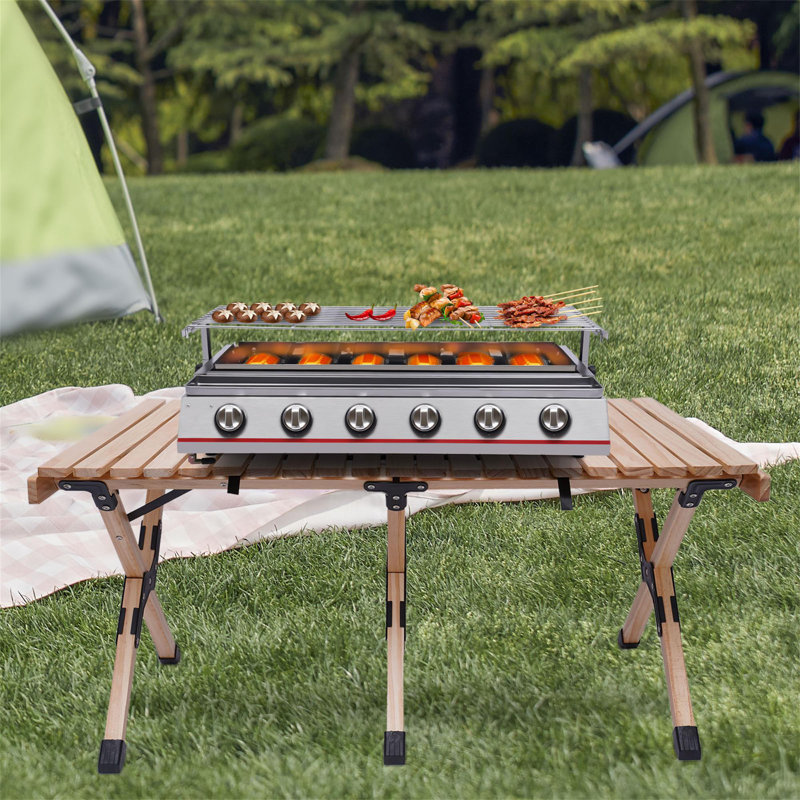 DENFER 6 Burner Portable Liquid Propane Infrared Gas Grill Wayfair